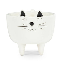 Load image into Gallery viewer, Small Cat on Legs Planter-3.5" H