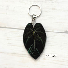 Load image into Gallery viewer, Anthurium Leaf Keychain Multiple Options