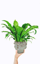 Load image into Gallery viewer, Mini Kissing Face Planter-4"H