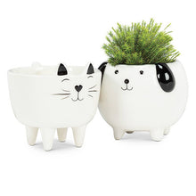 Load image into Gallery viewer, Small Cat on Legs Planter-3.5" H