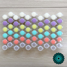 Load image into Gallery viewer, Beginners Class Dotting Tool Kit by The Dot Shop Gallery - Spring Colors
