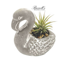 Load image into Gallery viewer, Petite Menagerie