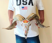 Load image into Gallery viewer, Hand-Painted Goat Skull by Mustofa Art
