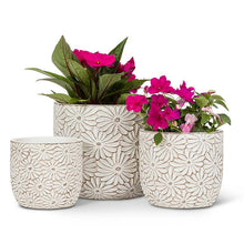 Load image into Gallery viewer, Md Wht Daisy Round Planter-4.5" H