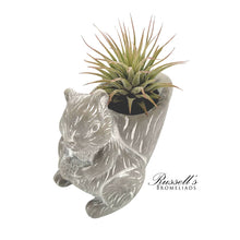 Load image into Gallery viewer, Petite Menagerie