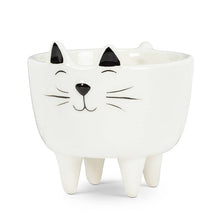 Load image into Gallery viewer, Small Cat on Legs Planter-3.5" H
