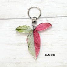 Load image into Gallery viewer, Syngonium Leaf Keychain Multiple Options