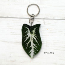 Load image into Gallery viewer, Syngonium Leaf Keychain Multiple Options