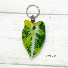 Load image into Gallery viewer, Syngonium Leaf Keychain Multiple Options