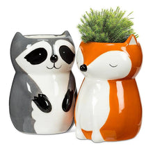 Load image into Gallery viewer, Sitting Raccoon Planter/Vase-4"H