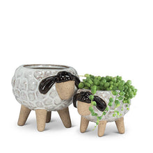 Load image into Gallery viewer, Lg Sheep on Legs Planter-3"H-869