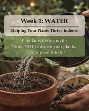 Load image into Gallery viewer, Week 1 – Water: February 7