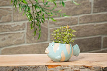 Load image into Gallery viewer, Small Fish Planter-Blue-1.5"D