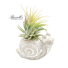 Load image into Gallery viewer, Petite Menagerie