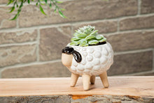 Load image into Gallery viewer, Lg Sheep on Legs Planter-3"H-869