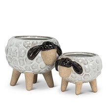 Load image into Gallery viewer, Lg Sheep on Legs Planter-3"H-869