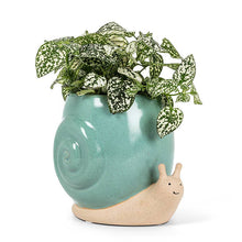 Load image into Gallery viewer, Tall Turq Snail Planter-5"H