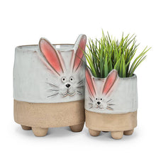 Load image into Gallery viewer, Sm Bunny w/Ears Planter-4"H