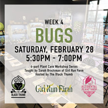 Load image into Gallery viewer, Week 4 – Bugs: February 28