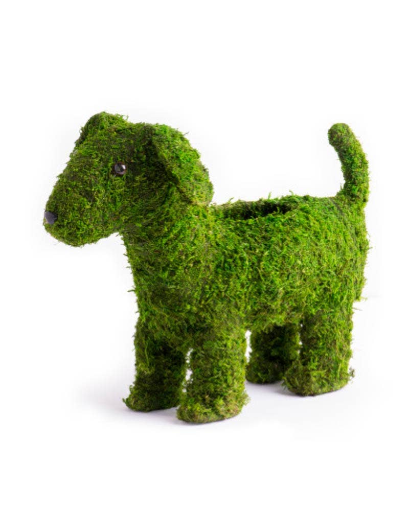 Deco Moss Animals, Puppy, 13in