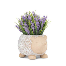 Load image into Gallery viewer, Sm Hedgehog Planter-5&quot;L
