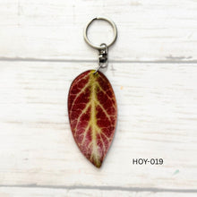 Load image into Gallery viewer, Hoya Leaf Keychain Multiple Options
