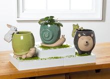 Load image into Gallery viewer, Tall Turq Snail Planter-5&quot;H
