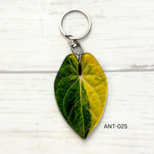 Load image into Gallery viewer, Anthurium Leaf Keychain Multiple Options
