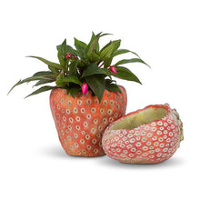 Load image into Gallery viewer, Small Strawberry Planter-5&quot;D
