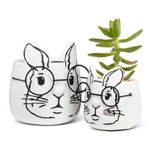 Load image into Gallery viewer, Small Bunny Planter with Glasses-3.5&quot;H
