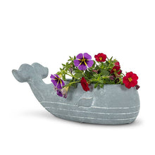 Load image into Gallery viewer, Sm Whale Low Planter-8&quot;L
