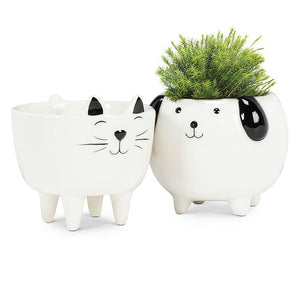 Small Cat on Legs Planter-3.5" H