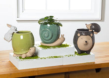 Load image into Gallery viewer, Tall Gry Hedgehog Planter-5&quot;H
