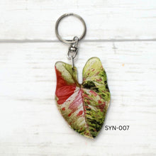 Load image into Gallery viewer, Syngonium Leaf Keychain Multiple Options
