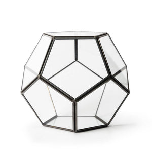 Glass Terrarium Dome