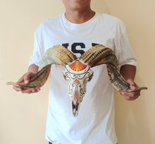 Load image into Gallery viewer, Hand-Painted Goat Skull by Mustofa Art
