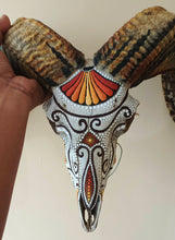 Load image into Gallery viewer, Hand-Painted Goat Skull by Mustofa Art
