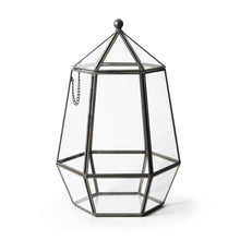 Load image into Gallery viewer, Glass Terrarium
