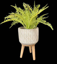 Load image into Gallery viewer, Cement Planter with Tripod Wood Legs - 4 styles, 4.5&quot; H
