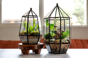 Glass Terrarium