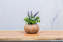 Load image into Gallery viewer, Cement Pumpkin Planter
