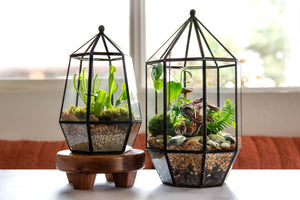 Glass Terrarium