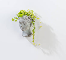 Load image into Gallery viewer, Small Woman Head Wall Planter-6.5&quot;H
