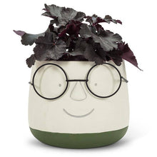 Load image into Gallery viewer, Face Planter w/Glasses
