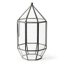 Load image into Gallery viewer, Glass Terrarium
