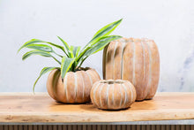 Load image into Gallery viewer, Cement Pumpkin Planter

