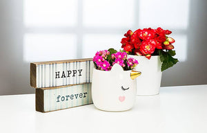 Sm Sleeping Unicorn Planter-3.5"H