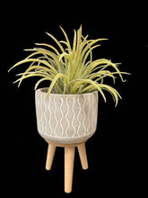 Load image into Gallery viewer, Cement Planter with Tripod Wood Legs - 4 styles, 4.5&quot; H
