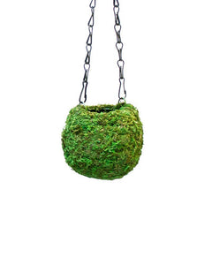 Kokedama, Fresh Green