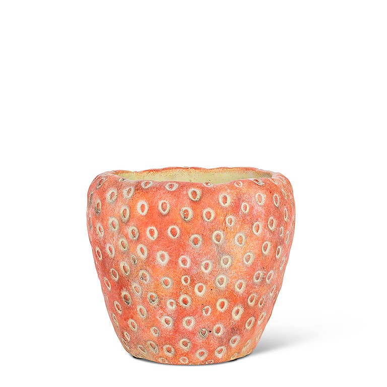 Small Strawberry Planter-5